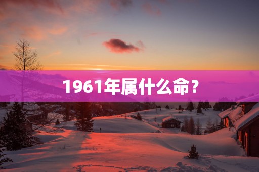 1961年属什么命？