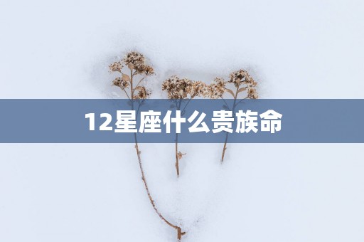 12星座什么贵族命