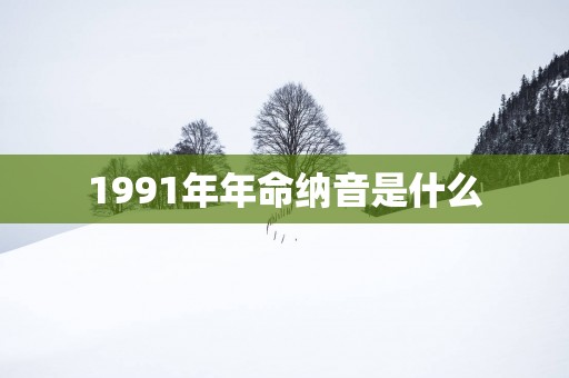 1991年年命纳音是什么