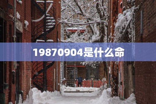 19870904是什么命