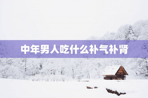 中年男人吃什么补气补肾