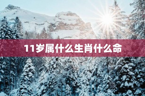 11岁属什么生肖什么命