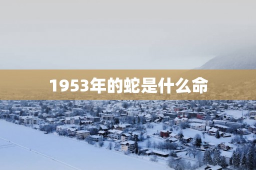 1953年的蛇是什么命