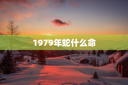 1979年蛇什么命