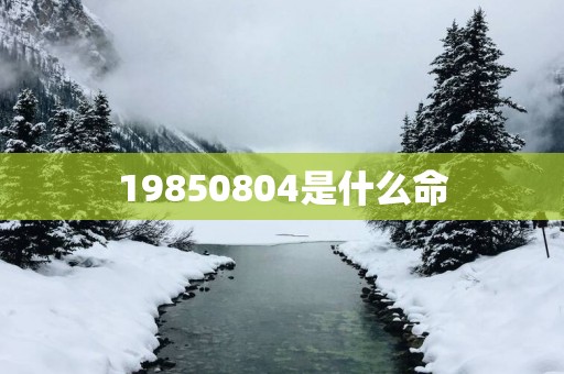 19850804是什么命