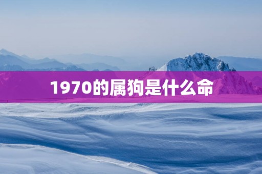 1970的属狗是什么命