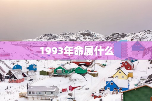 1993年命属什么
