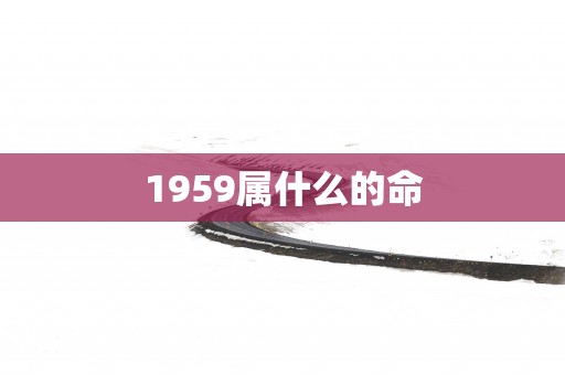 1959属什么的命