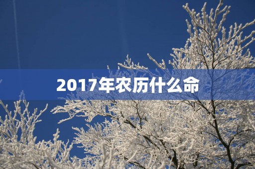 2017年农历什么命