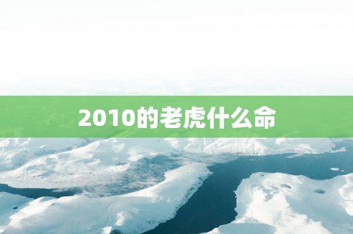 2010的老虎什么命