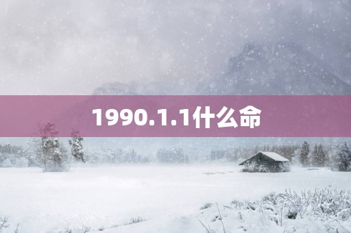 1990.1.1什么命