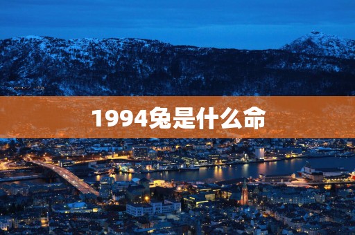 1994兔是什么命