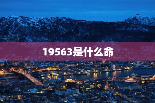 19563是什么命