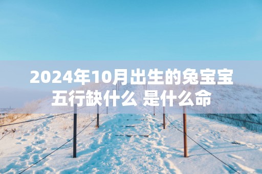 2025年10月出生的兔宝宝五行缺什么 是什么命