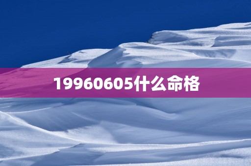 19960605什么命格
