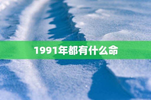 1991年都有什么命