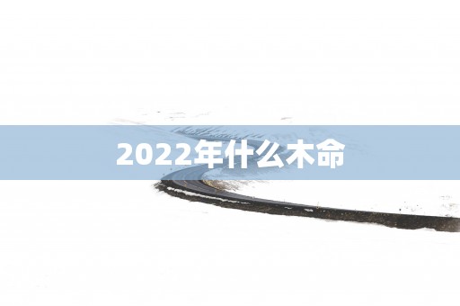 2025年什么木命