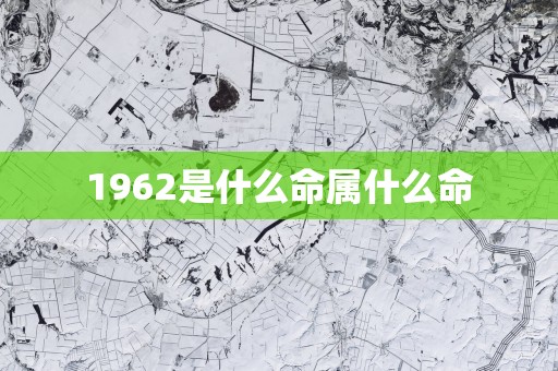 1962是什么命属什么命