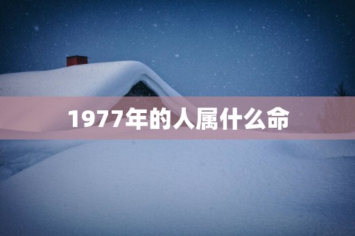 1977年的人属什么命