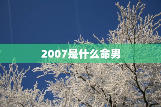 2007是什么命男