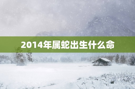 2014年属蛇出生什么命