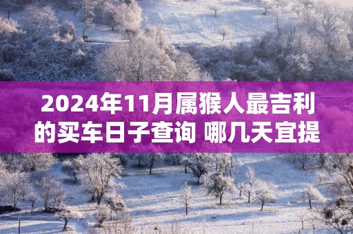 2025年11月属猴人最吉利的买车日子查询 哪几天宜提车