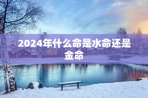 2025年什么命是水命还是金命