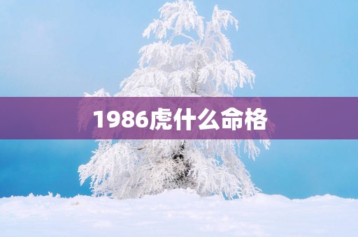 1986虎什么命格