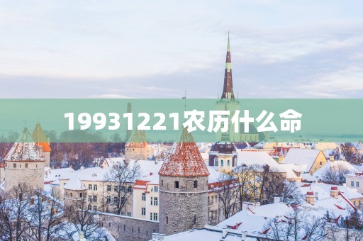 19931221农历什么命