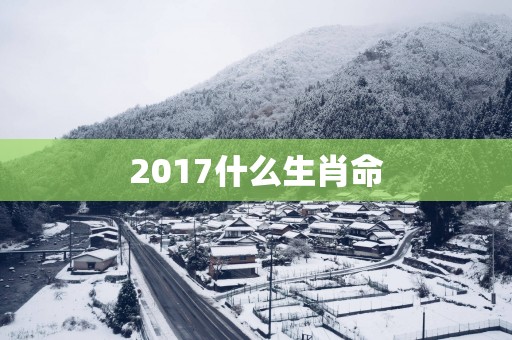 2017什么生肖命