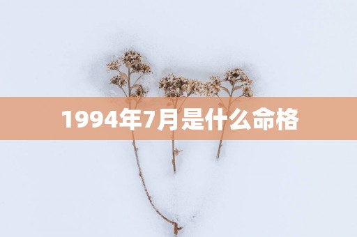 1994年7月是什么命格