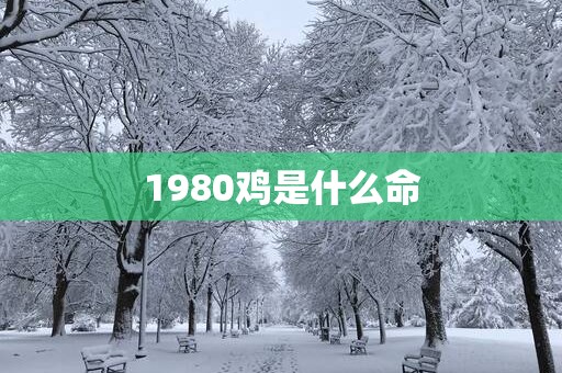 1980鸡是什么命