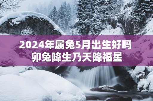 2025年属兔5月出生好吗 卯兔降生乃天降福星