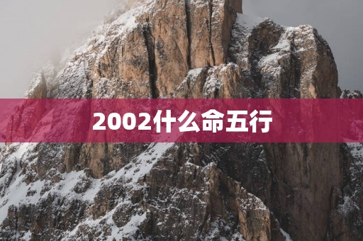 2002什么命五行