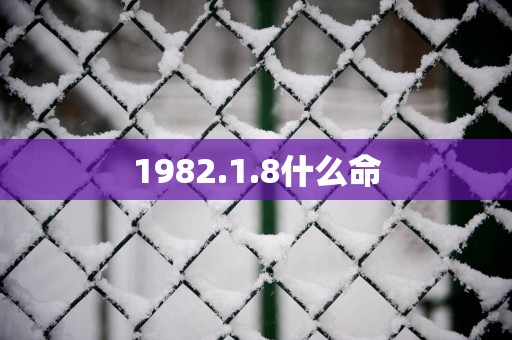 1982.1.8什么命