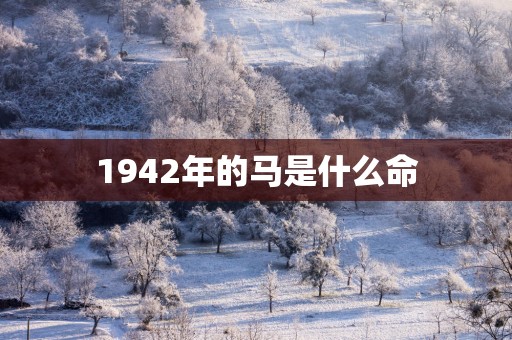 1942年的马是什么命