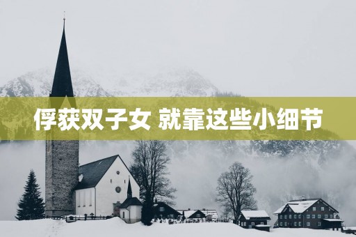 俘获双子女 就靠这些小细节