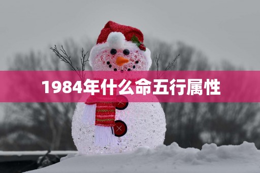 1984年什么命五行属性