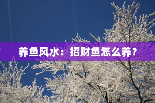 养鱼风水：招财鱼怎么养？