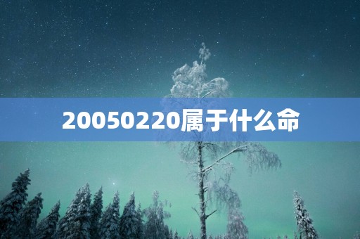 20050220属于什么命