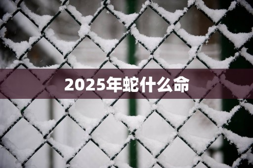 2025年蛇什么命