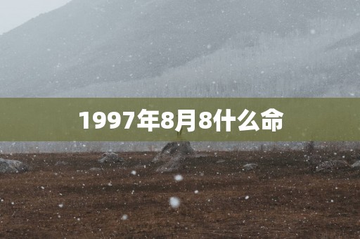 1997年8月8什么命