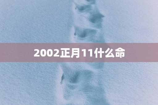 2002正月11什么命