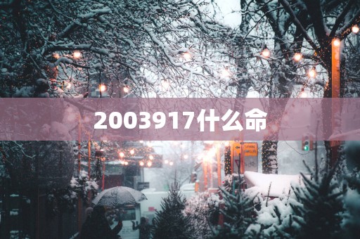2003917什么命