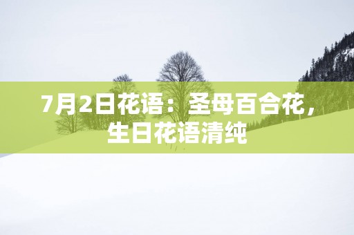 7月2日花语：圣母百合花，生日花语清纯