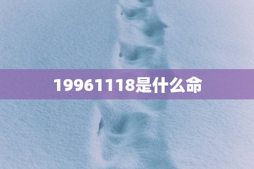 19961118是什么命