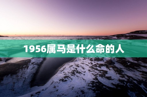 1956属马是什么命的人