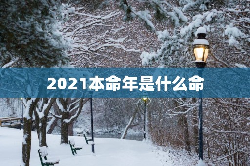 2025本命年是什么命