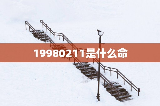 19980211是什么命