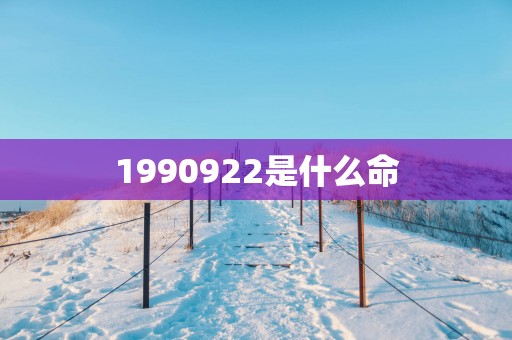 1990922是什么命